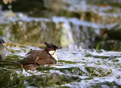 v8av7a区别-九游会